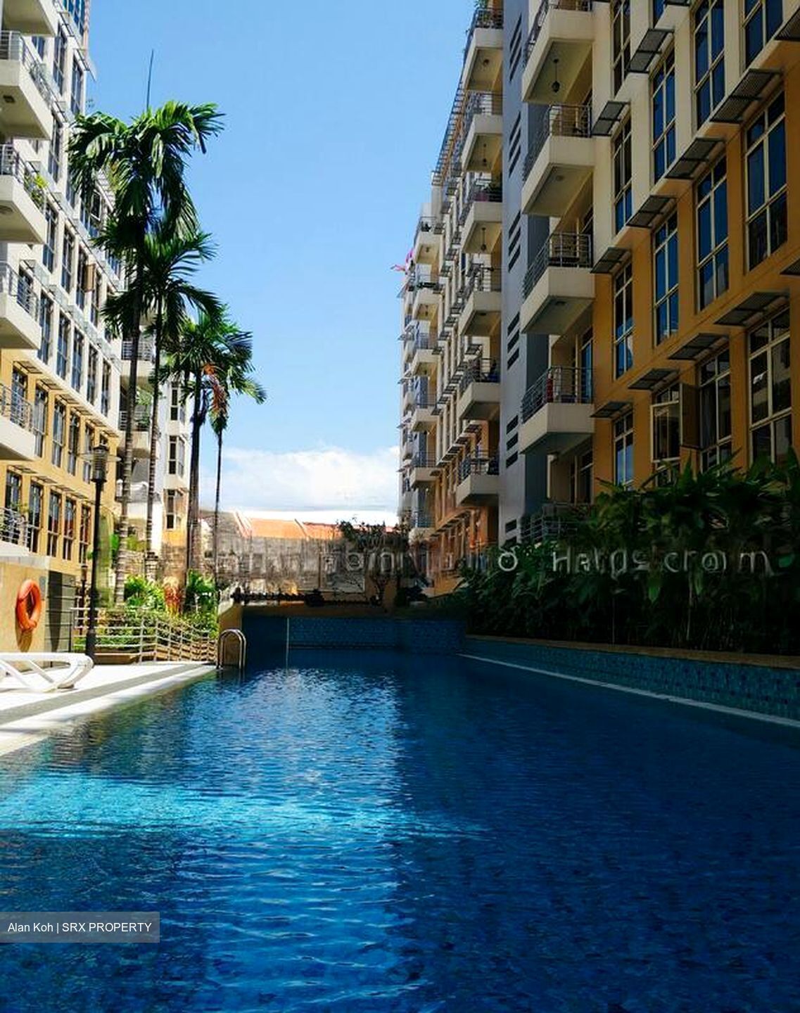 Sims Green (D14), Apartment #528799211